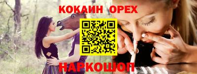 дмт Шелехов