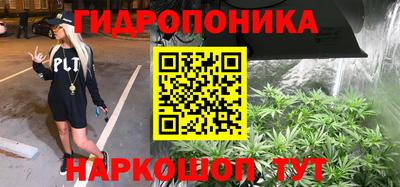 дмт Шелехов