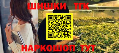 дмт Шелехов
