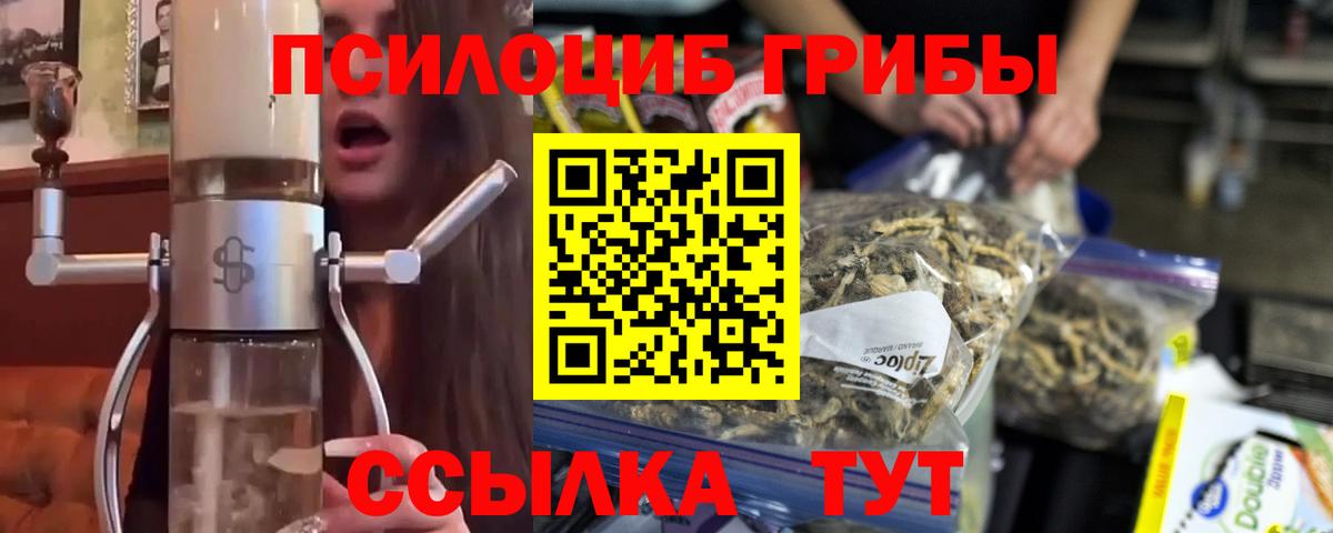 Псилоцибиновые грибы мухоморы  как найти наркотики  Обь  Вход с VPN 